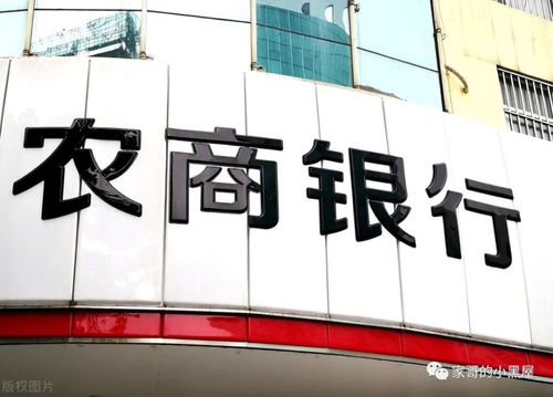 螞蟻金服與陸金所上市 科技中介服務(wù)的雙重估值邏輯